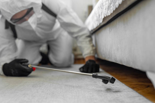 Professional Mosquito Control technician working in Jackson County County, TX